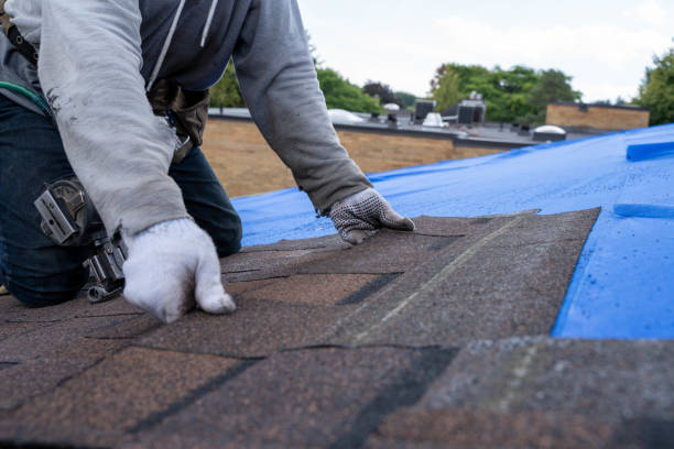 Best Roof Waterproofing Services  in Woodworth, OH